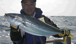 86cm6.4kgのブリです(by浜田)