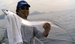 太刀魚1m10cm　菅原(by浜田)