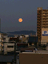 10月15日の月(by安井)