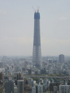 東京スカイツリー(by和田)