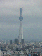 東京ｽｶｲﾂﾘｰ(by近藤)