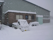 昨日からの雪で、これ(by森近)