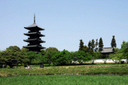 新緑の備中国分寺(by安井)