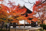 宝福寺＠総社市2011.11.27(by安井)