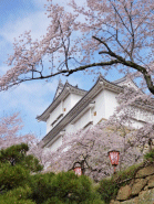 鶴山公園1（津山城址）(by安井)