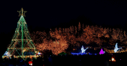 備北丘陵公園1(by安井)