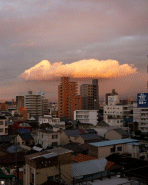 長雨上りの夕方2013.09.04(by安井)